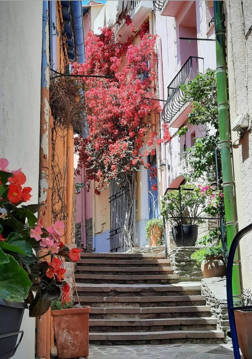 Studio Collioure Mouret エクステリア 写真